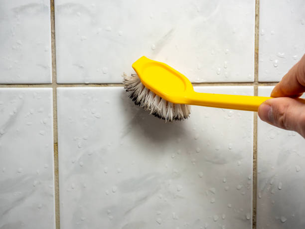 Best Attic Mold Removal  in Cherryville, NC