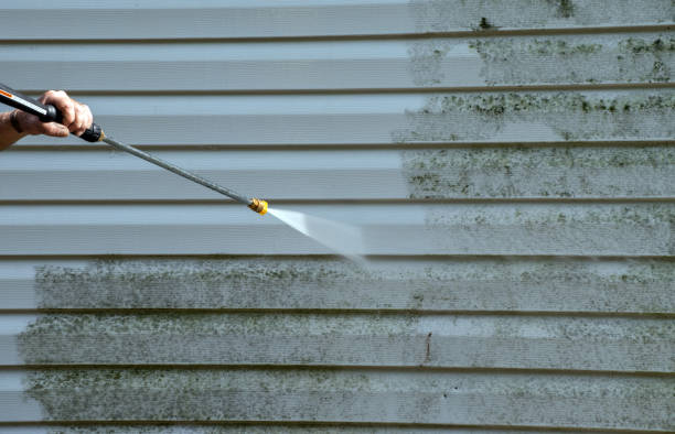 Best Commercial Mold Removal  in Cherryville, NC